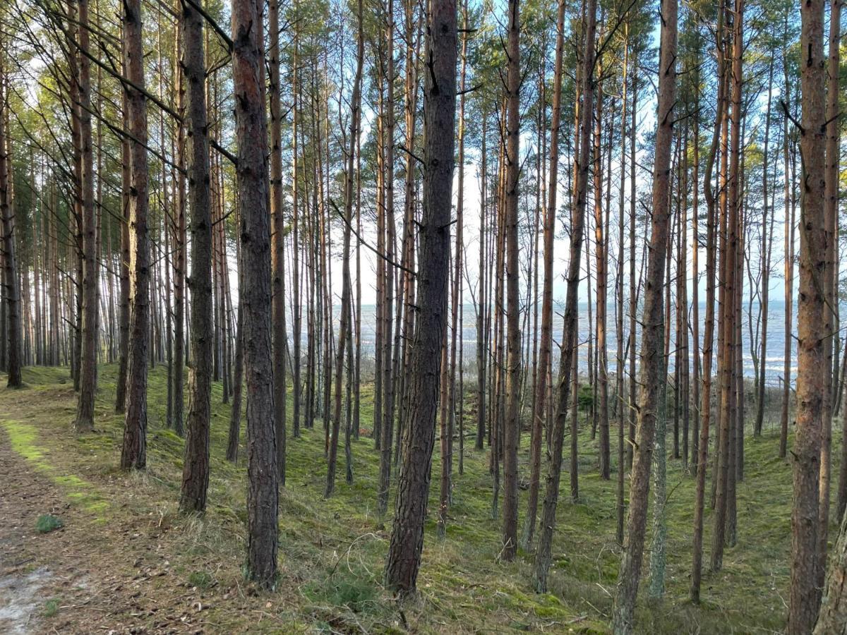 Wygodny Eko Domek Kolo Nadmorskiego Parku Krajobrazowego Karwienskie Bloto Drugie Exteriör bild